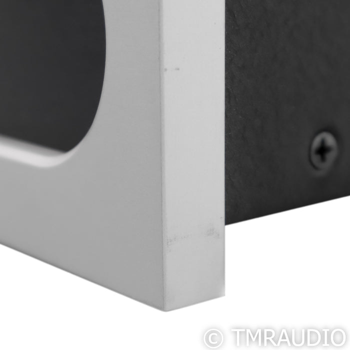 Bel Canto e.One M300 Monoblock Power Amplifier; Single