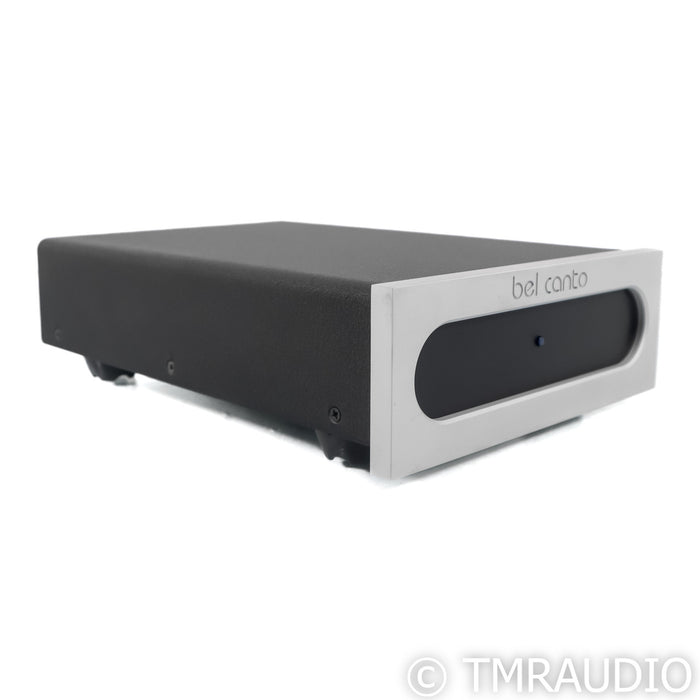 Bel Canto e.One M300 Monoblock Power Amplifier; Single