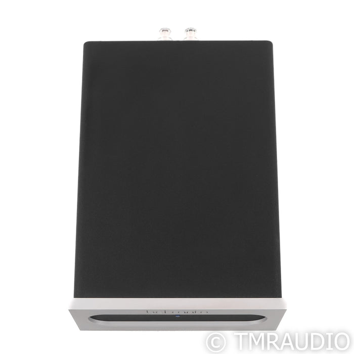 Bel Canto e.One M300 Monoblock Power Amplifier; Single