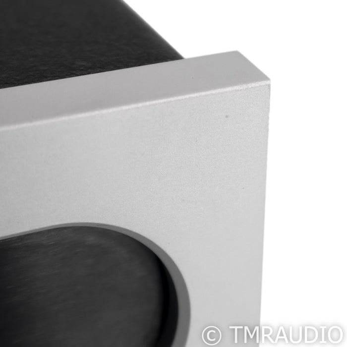 Bel Canto e.One M300 Monoblock Power Amplifier; Single