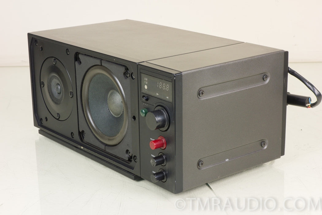 Proton 300 Table Radio with 301 Companion Speaker