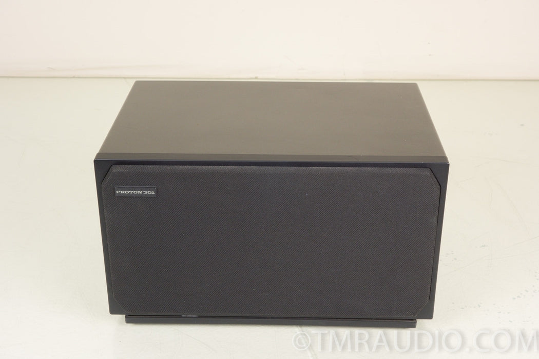 Proton 300 Table Radio with 301 Companion Speaker