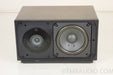 Proton 300 Table Radio with 301 Companion Speaker