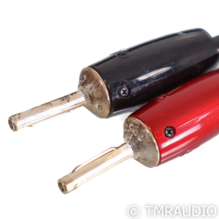 AudioQuest Rocket 88 Bi-Wire Speaker Cables; 13ft Pair