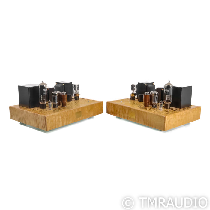 Emotive Audio Caeli-LE Mono Tube Power Amplifiers