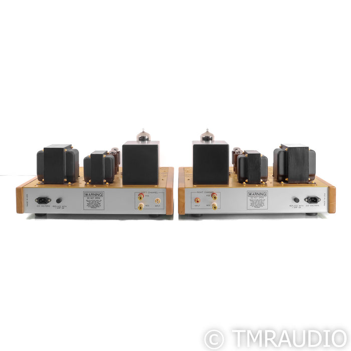 Emotive Audio Caeli-LE Mono Tube Power Amplifiers