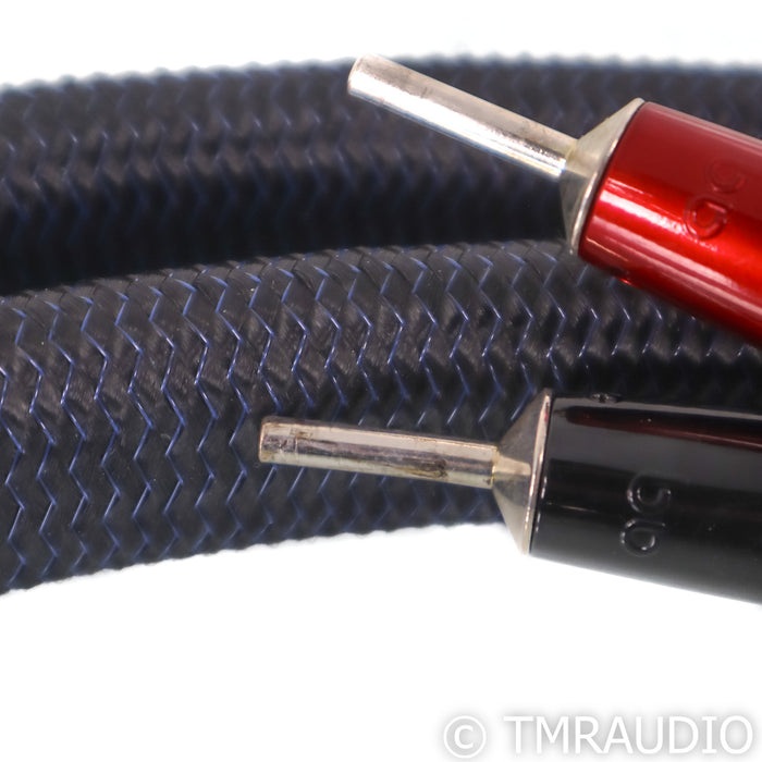 AudioQuest ThunderBird ZERO Speaker Cables; 8ft Pair; 72v DBS