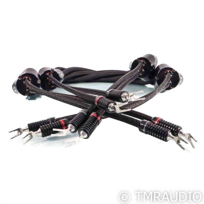 Stage III Concepts ASP Reference Cerberus Speaker Cables; 2m Pair; Limited Edition