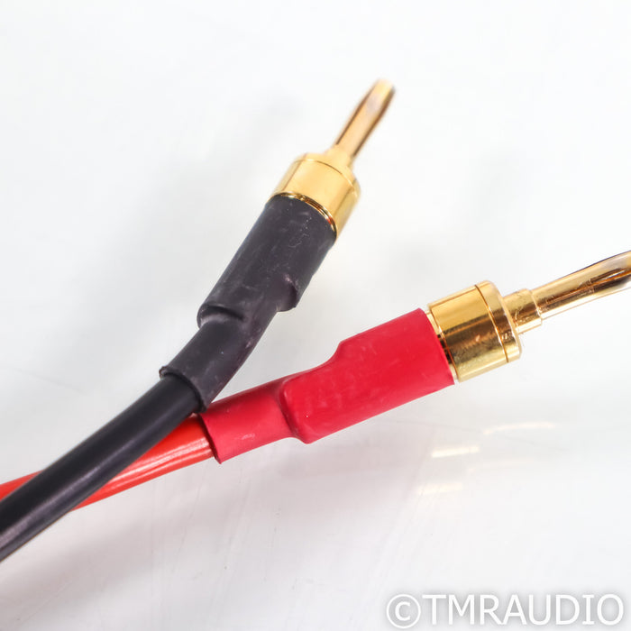 Shunyata Research Venom Speaker Cables; 2.5m Pair