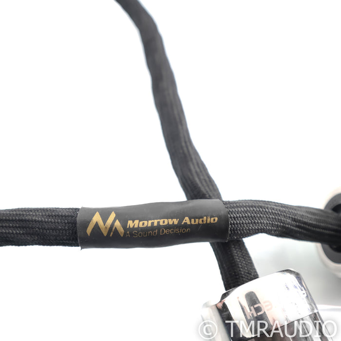 Morrow Audio Anniversary Power Cable; 1m AC Cord