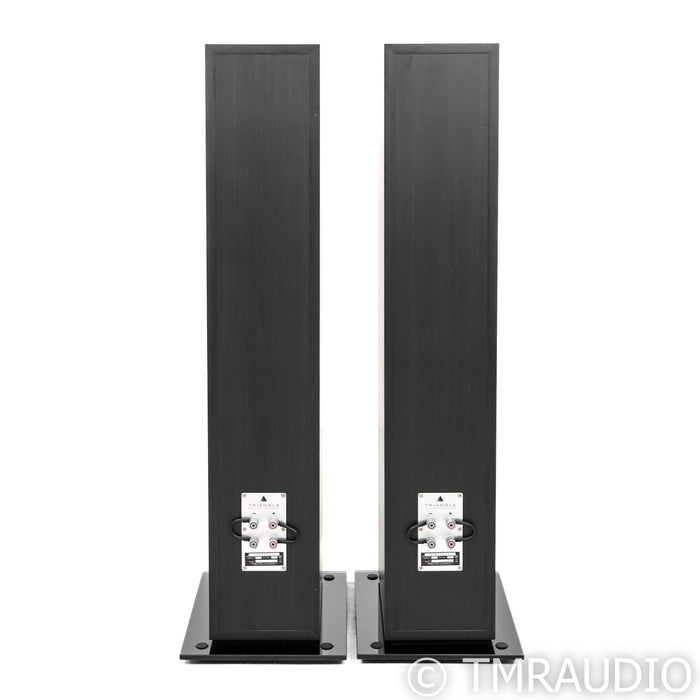 Triangle Esprit Antal EZ Floorstanding Speakers; Black Ash Pair (w/ Warranty)