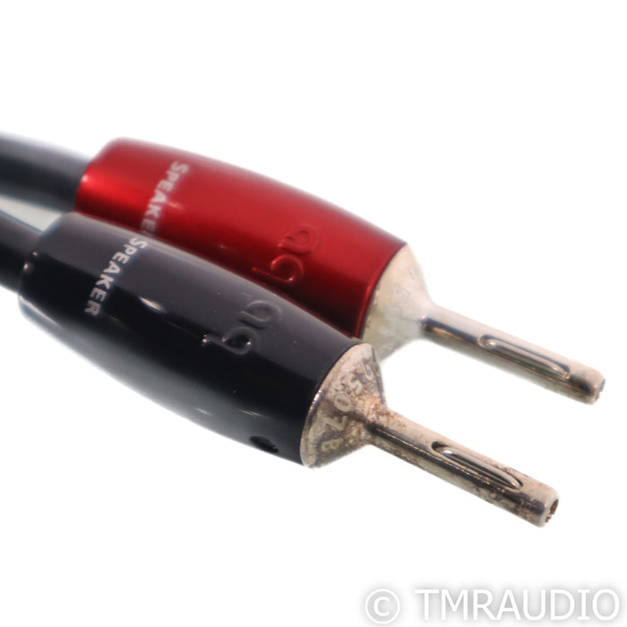 AudioQuest Rocket 44 Speaker Cables; 10ft Pair