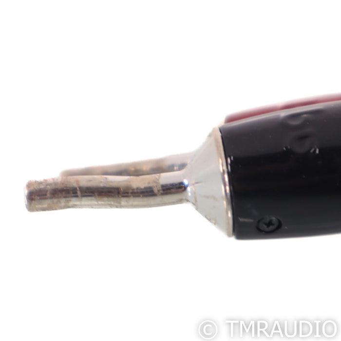 AudioQuest Rocket 44 Speaker Cables; 10ft Pair