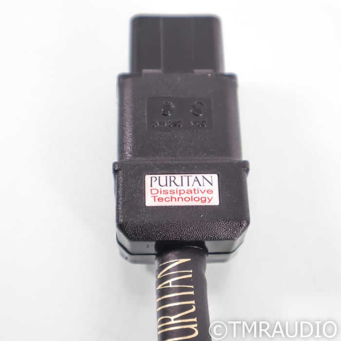 Puritan Audio Labs Classic Power Cable; 2m AC Cord; C19 20A