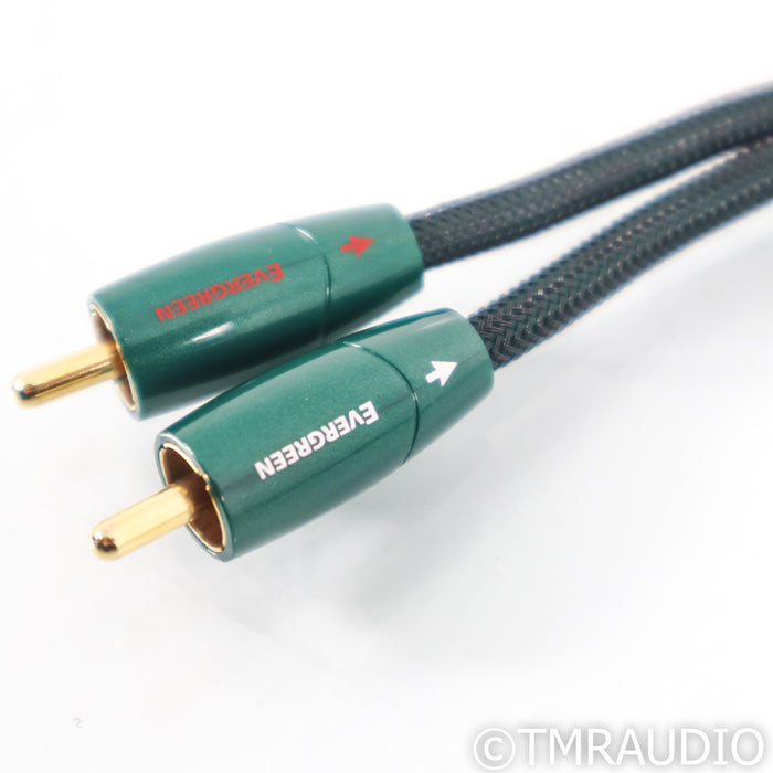 AudioQuest Evergreen RCA Cables; 0.6m Pair Interconnects