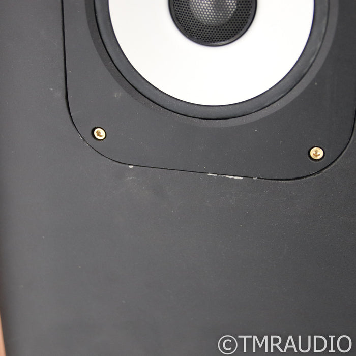 Thiel CS6 Floorstanding Speakers; Bird's Eye Maple Pair; AS-IS (Woofer Buzz)