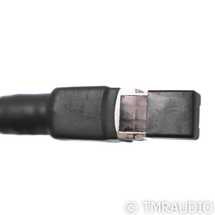 Tubulus Concentus I2S Cable; 0.5m Digital Interconnect