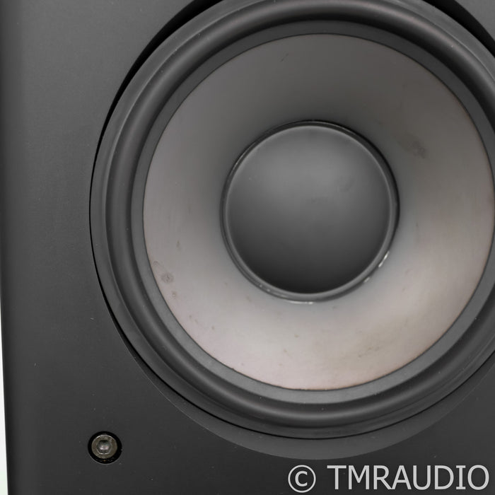 Raidho TD3.2 Floorstanding Speakers; Walnut Burl Pair