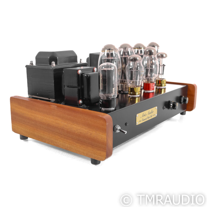 Aric Audio Transcend Push Pull Stereo Tube Power Amplifier