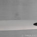 InnerSound ESL-300 Stereo Electrostatic Power Amplifier
