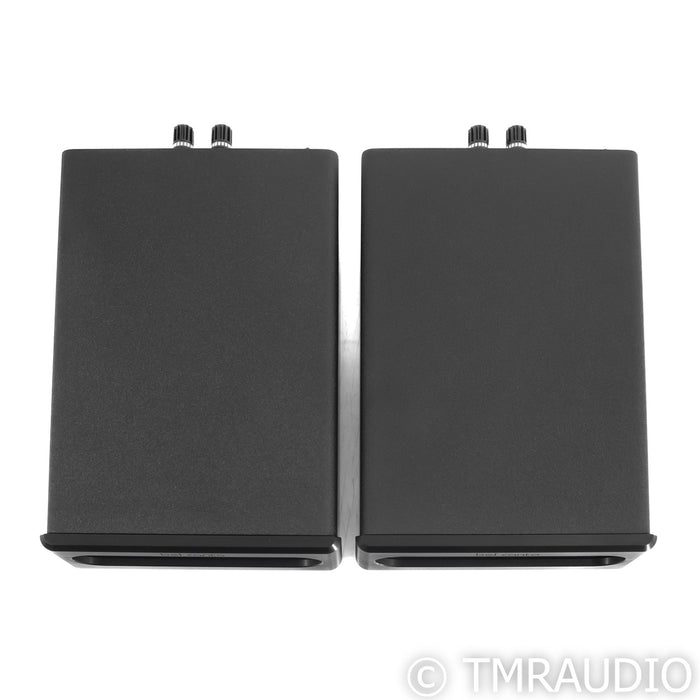 Bel Canto e.One REF600M Mono Power Amplifier; Pair