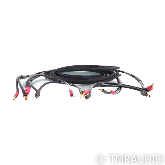 Synergistic Research SR30 Bi-Wire Speaker Cables; 15ft Pair