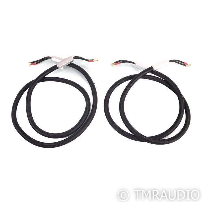 Townshend Audio F1 Fractal Speaker Cables; 2m Pair