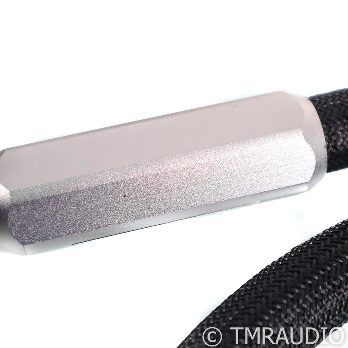 Townshend Audio F1 Fractal Speaker Cables; 2m Pair
