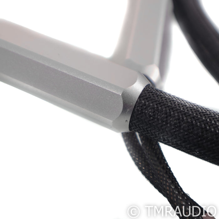 Townshend Audio F1 Fractal Speaker Cables; 2m Pair