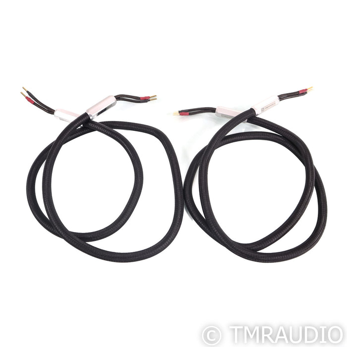 Townshend Audio F1 Fractal Speaker Cables; 2m Pair
