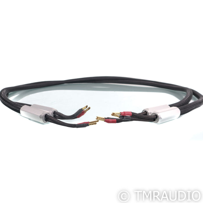 Townshend Audio F1 Fractal Speaker Cables; 2m Pair