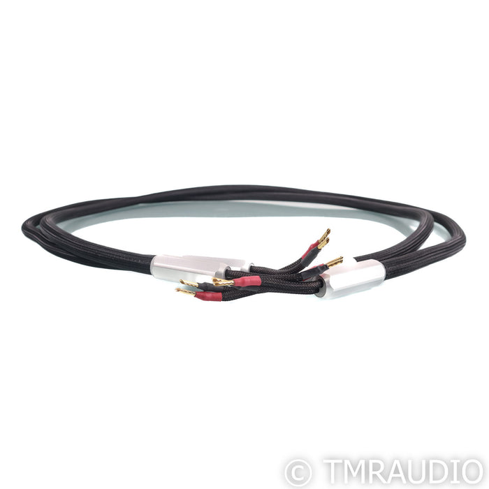 Townshend Audio F1 Fractal Speaker Cables; 2m Pair