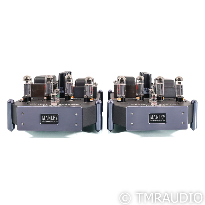 Manley Laboratories Snapper Monoblock Tube Power Amplifiers; Pair