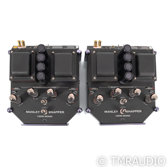 Manley Laboratories Snapper Monoblock Tube Power Amplifiers; Pair