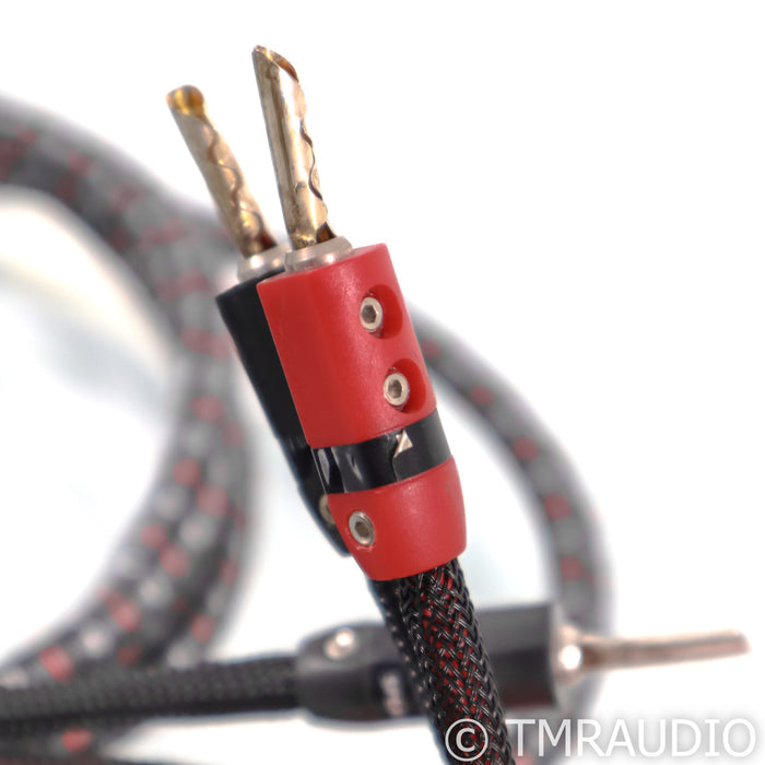 AudioQuest CV-8 Hyperlitz Speaker Cables; 8ft Pair