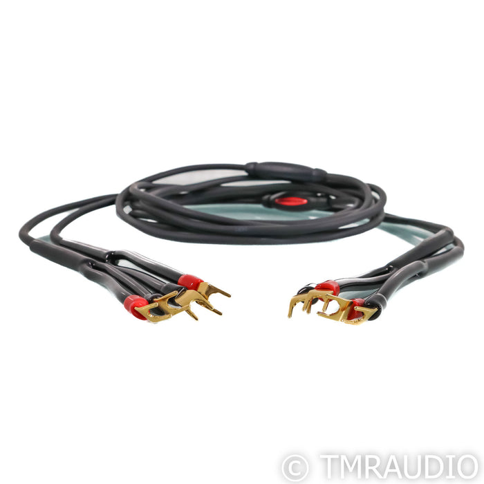 Transparent Audio The Wave Speaker Cables; 10ft Pair