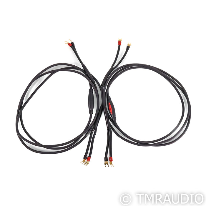 Transparent Audio The Wave Speaker Cables; 10ft Pair