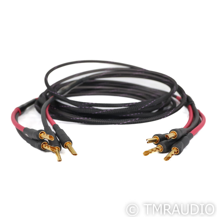 Audience Studio TWO Speaker Cables; 10ft Pair