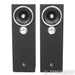 Zu DW6 Superfly Floorstanding Speakers; Dirty Weekend; Black Starlight Pair
