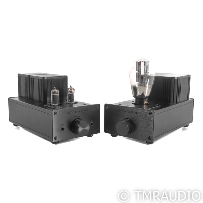 Woo Audio WA6-SE Stereo Tube Headphone Amplifier