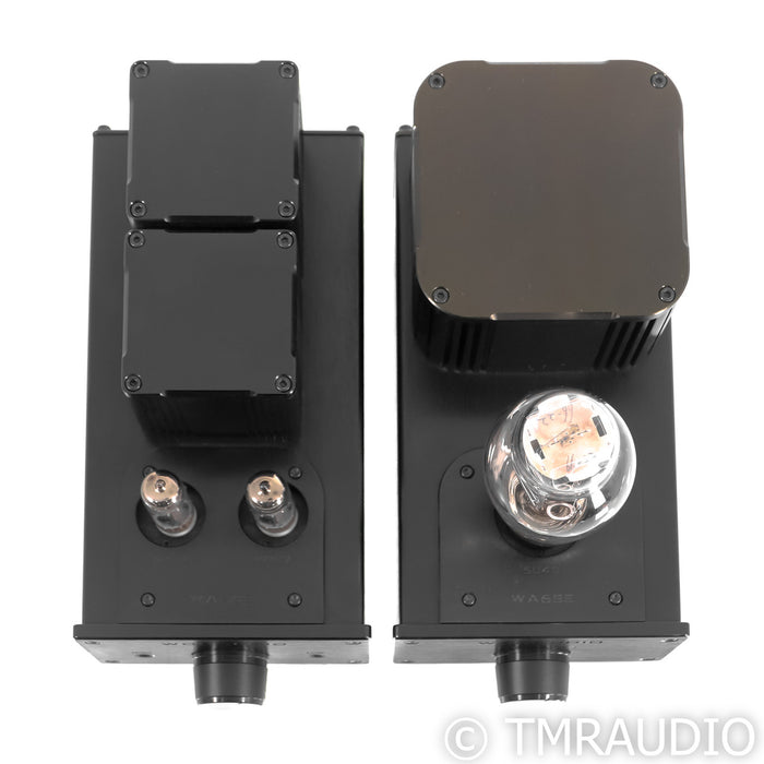 Woo Audio WA6-SE Stereo Tube Headphone Amplifier