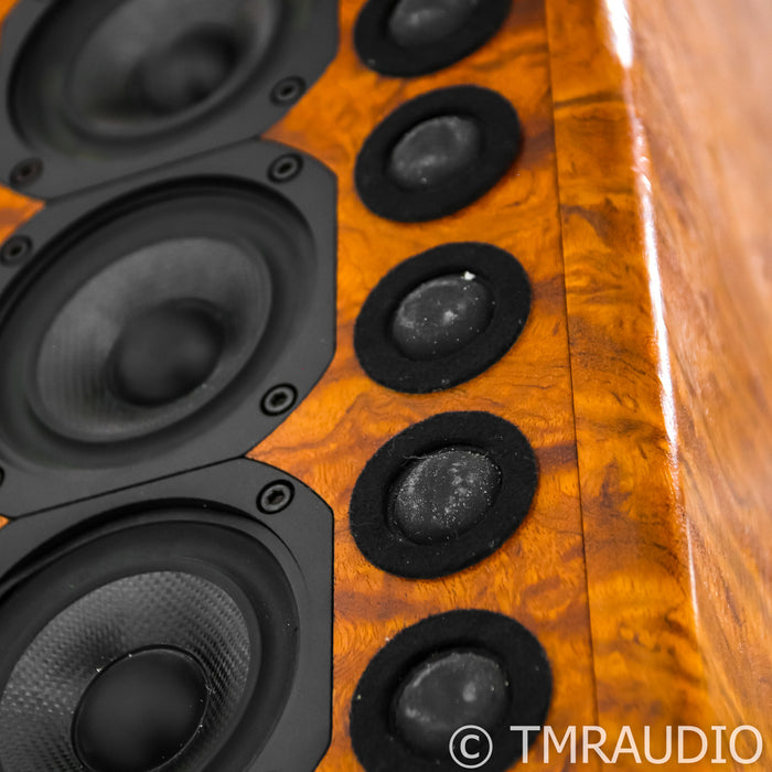 Nearfield Acoustics PipeDreams Model 21 Speakers; Bubinga Pair w/ Subs