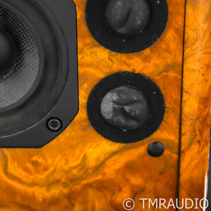 Nearfield Acoustics PipeDreams Model 21 Speakers; Bubinga Pair w/ Subs