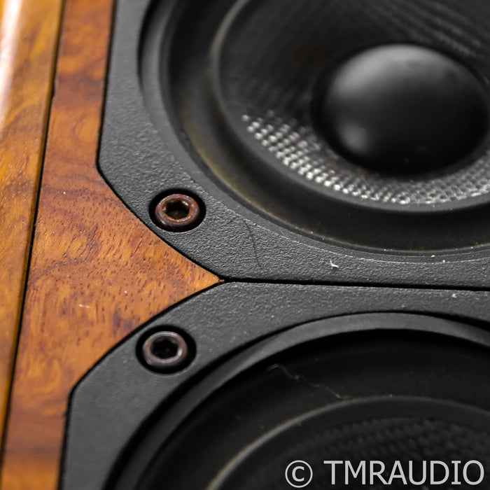 Nearfield Acoustics PipeDreams Model 21 Speakers; Bubinga Pair w/ Subs