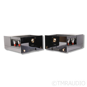 VAC Renaissance Signature 140 Tube Monoblock Power Amplifiers