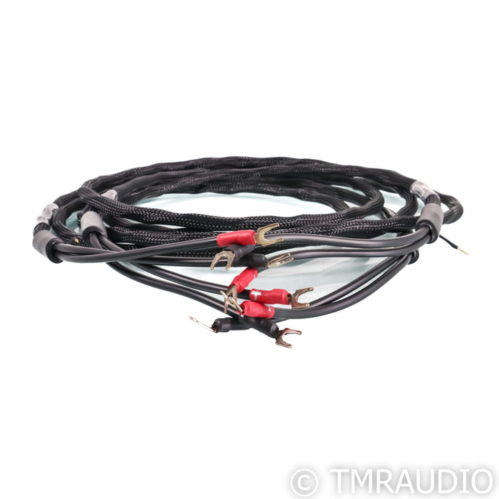 Synergistic Research Atmosphere UEF Level 2 Speaker Cables; 10ft Pair