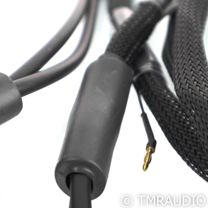 Synergistic Research Atmosphere UEF Level 2 Speaker Cables; 10ft Pair