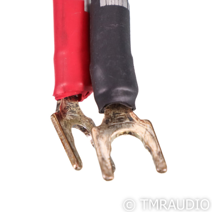 Synergistic Research Atmosphere UEF Level 2 Speaker Cables; 10ft Pair