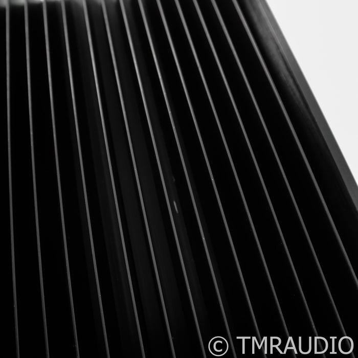 Clayton Audio M100 Monoblock Power Amplifier; Single