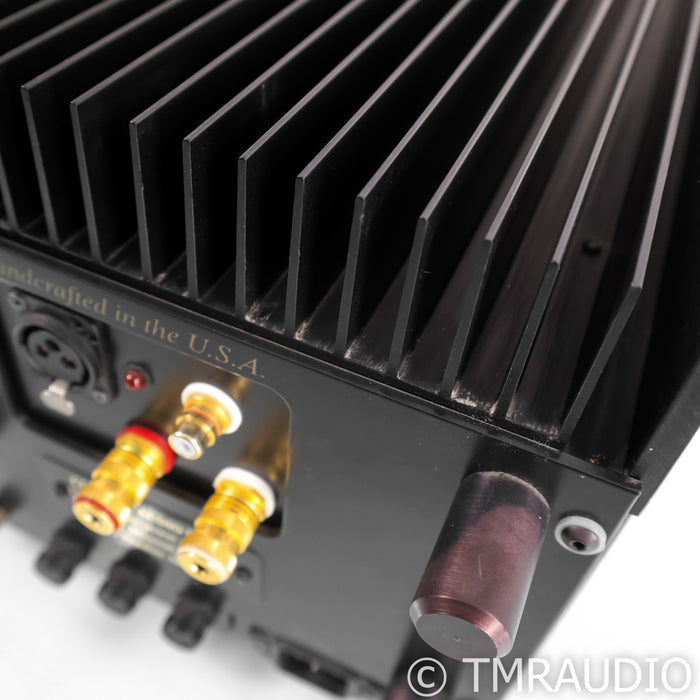 Clayton Audio M100 Monoblock Power Amplifier; Single